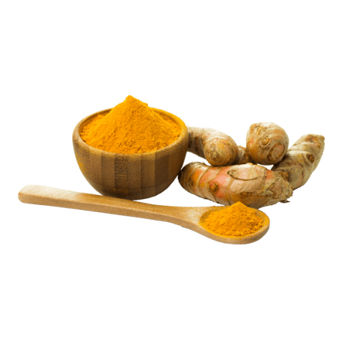 exporters-suppliers-of-turmeric-fingers